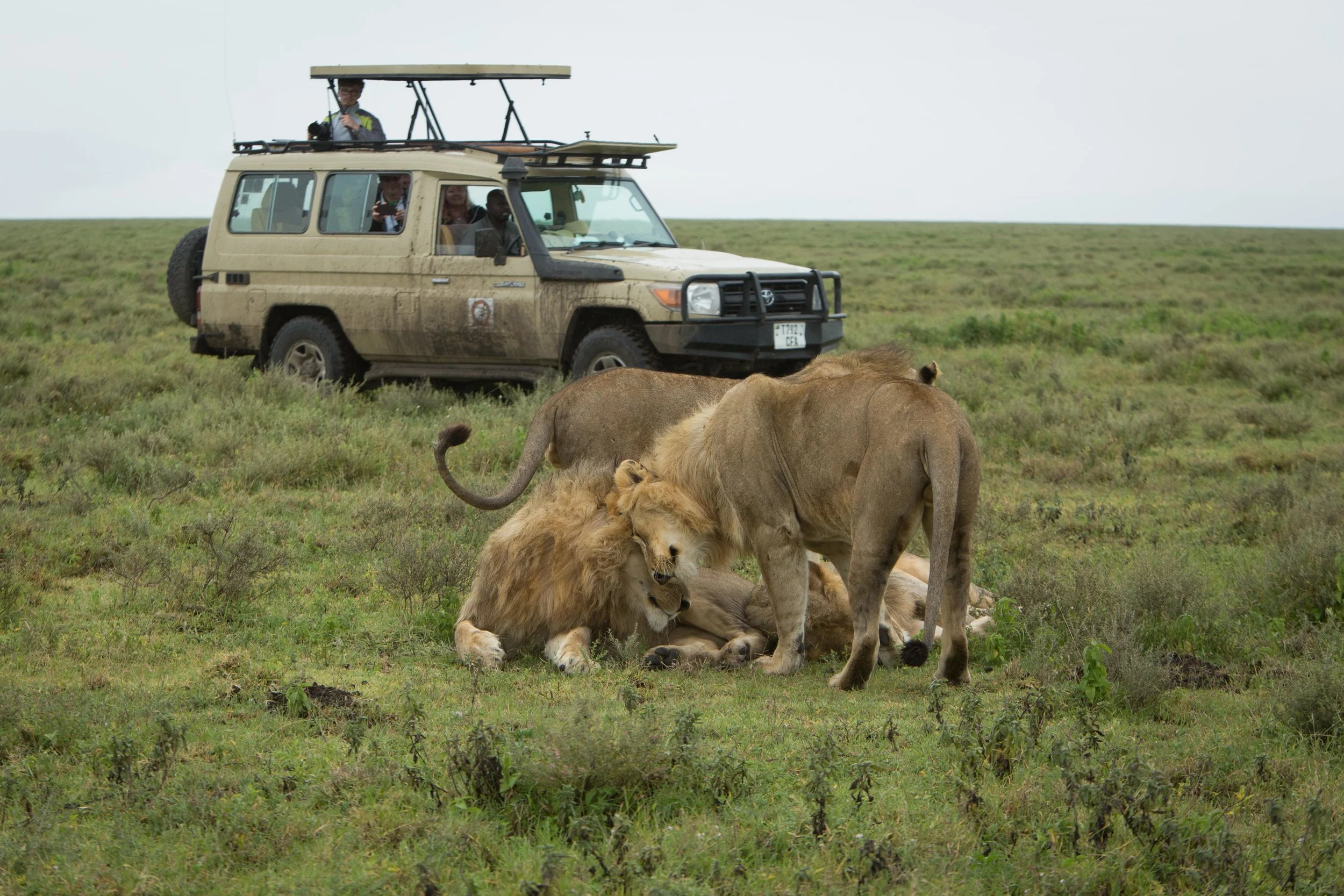 Game Package Image  2-min.jpg