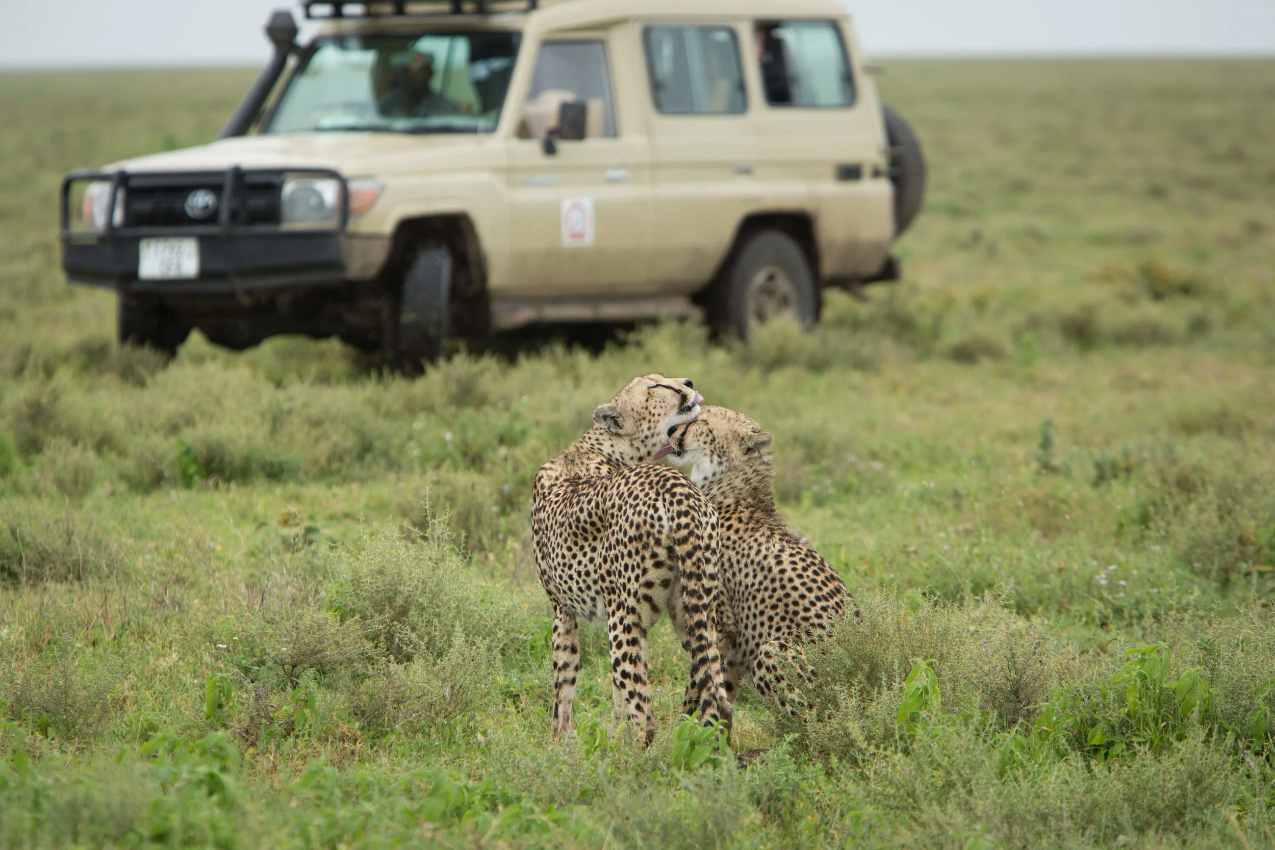 Game Package Image  3-min.jpg