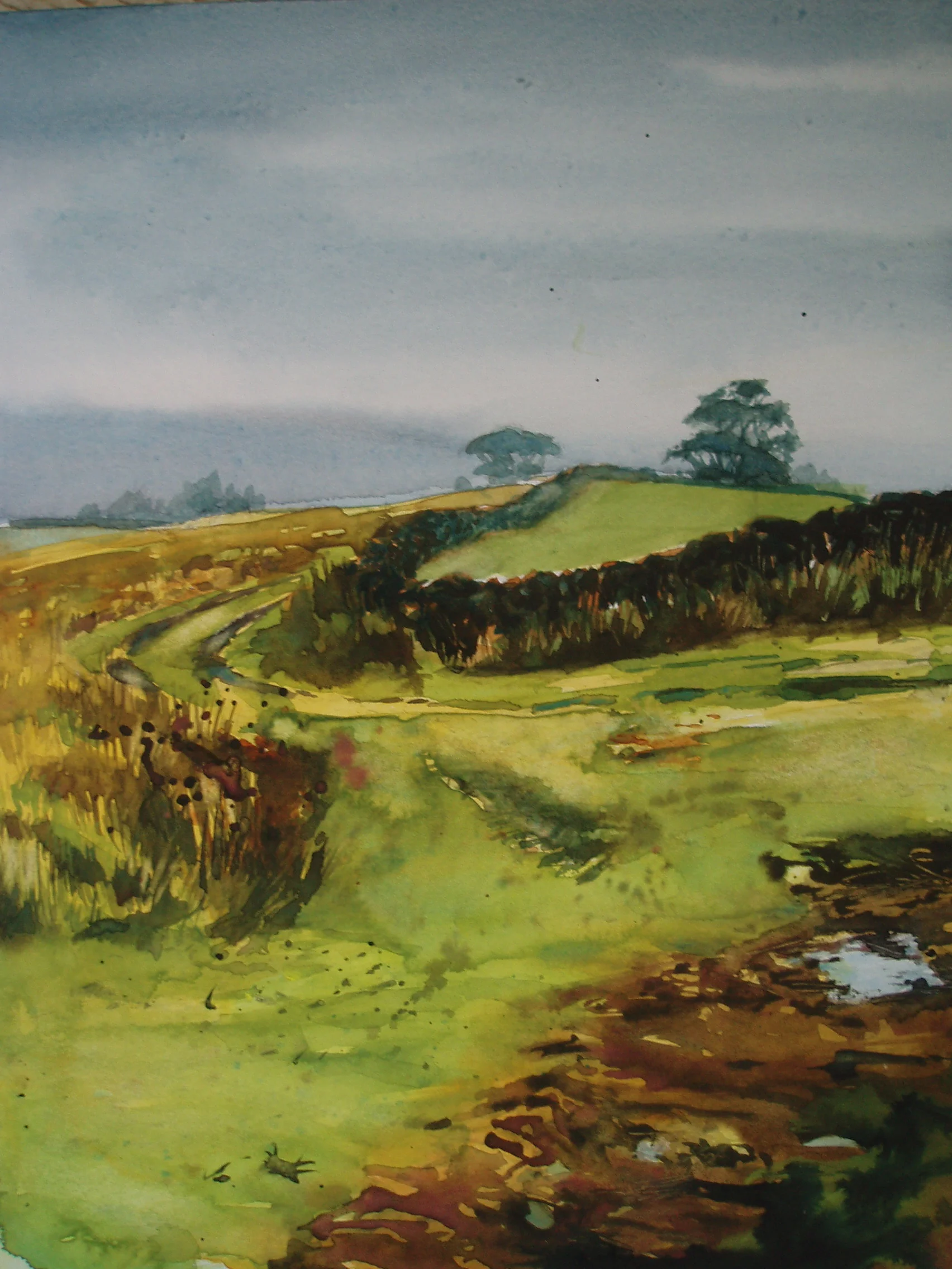 moors top - watercolour - SOLD