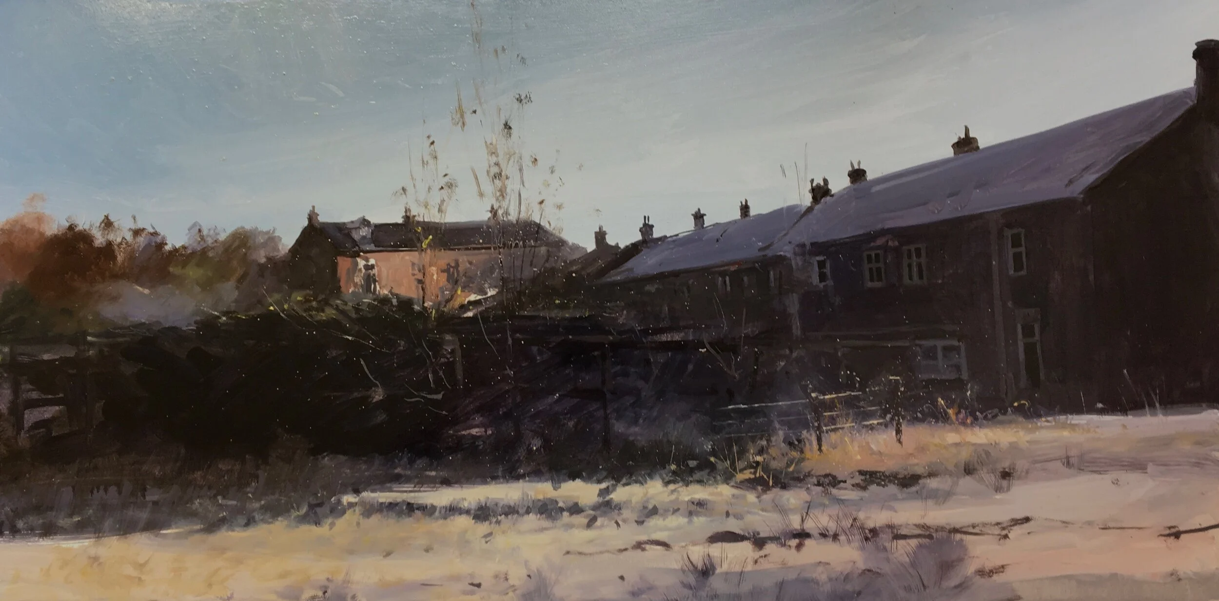 Backhouses 60x30cm Oil on Board.jpg