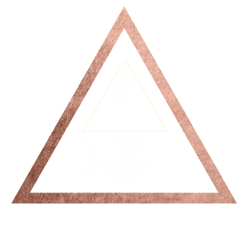 Copy of logo with triangle.png