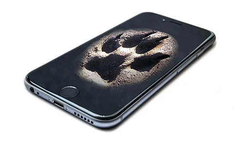 7.pawprintphonelogo.jpg