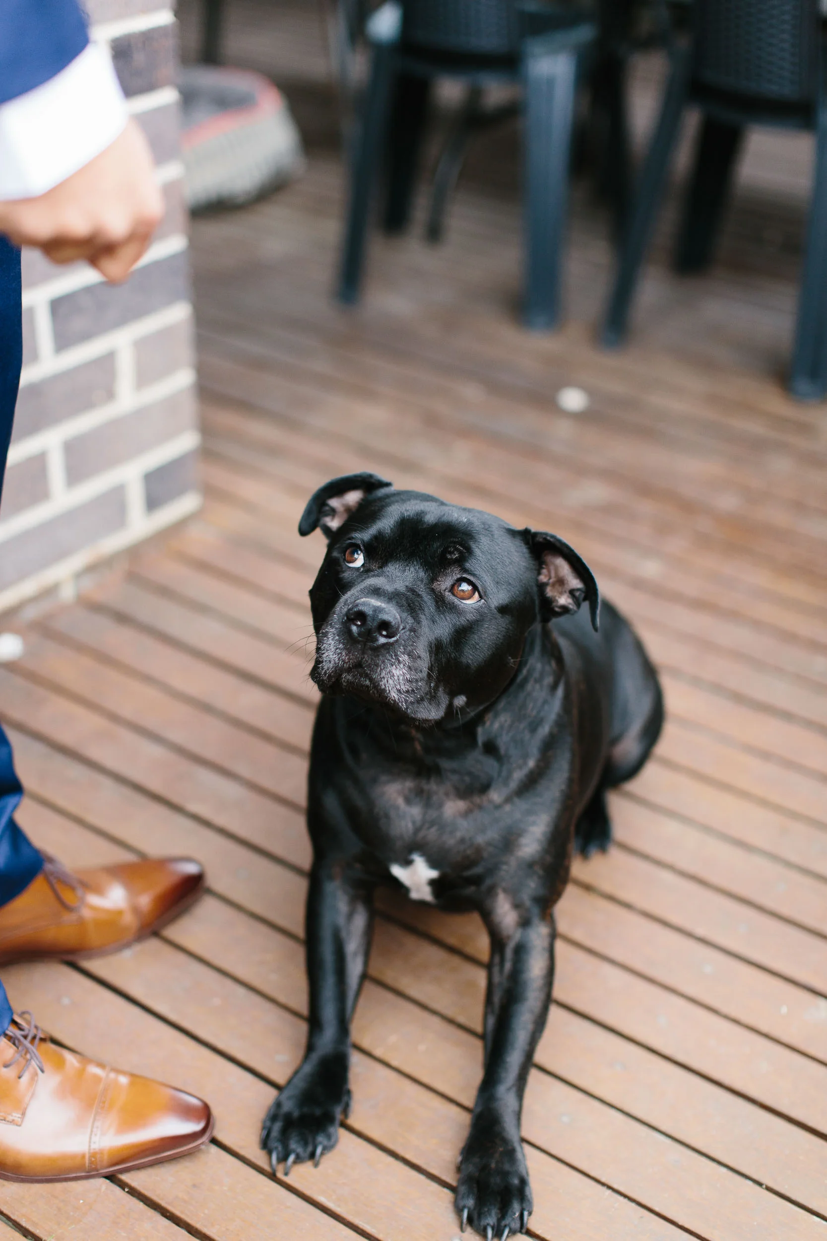 Kas-Richards-Urban-Melbourne-Wedding-Jason-Grech-46.jpg