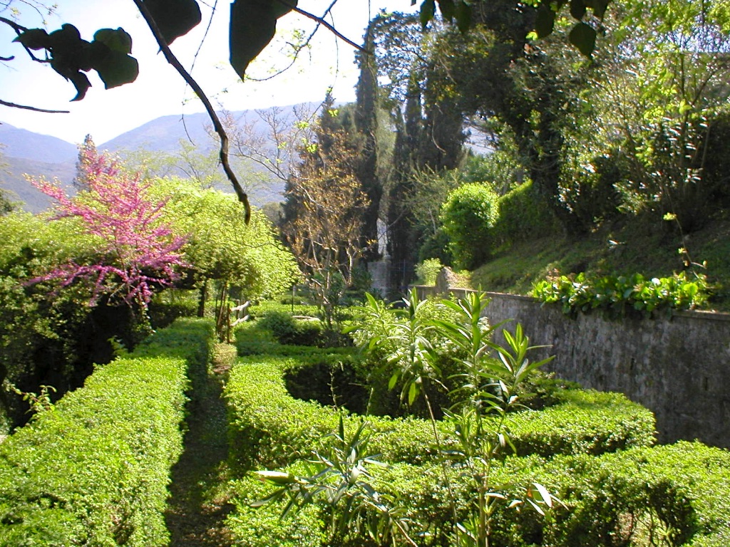 forani gardens.jpg