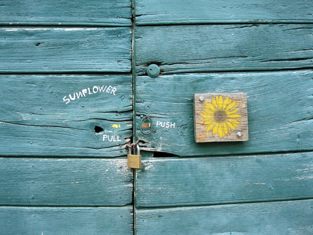 bike shed door.jpg