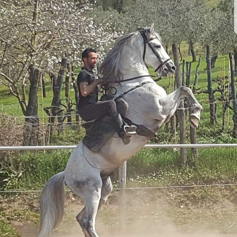 Stefano.jpg