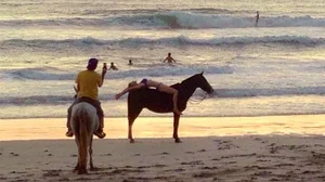 horses+2.jpg