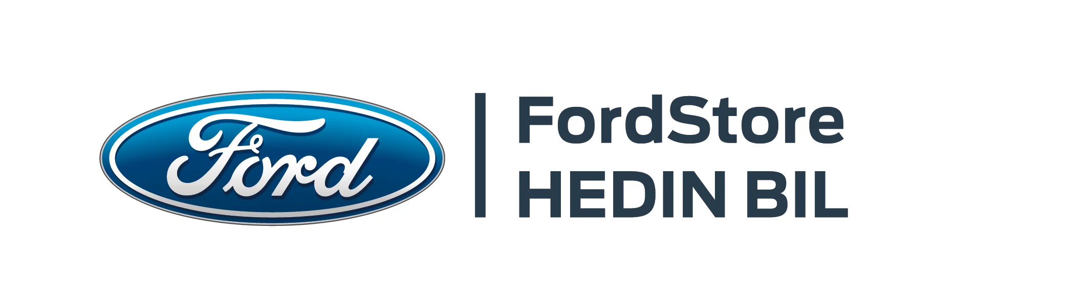 fordstore_hedin logo test test.jpg