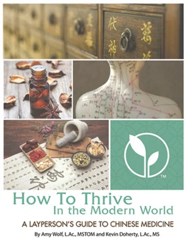 new-circle-book-cover.jpg
