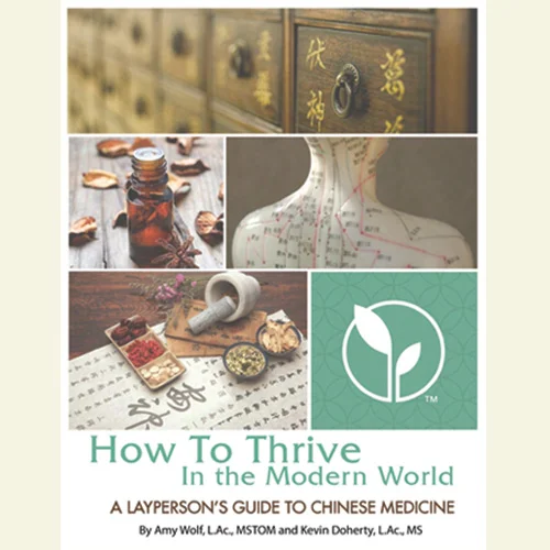 new-circle-book-cover.jpg