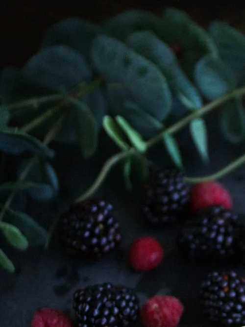 DIGESTIVE HEALTH