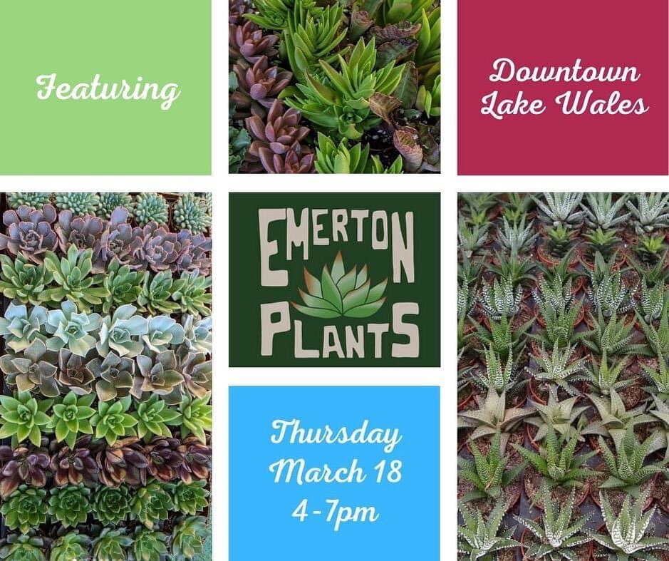 Have you fallen in love with Emerton Plants yet? You're going to. They are a retail plant nursery specializing in succulents 😍

Who doesn't love succulents?

Come get your new plant babies at the very first #3rdThursdayMarket on March 18 from 4-7pm 
