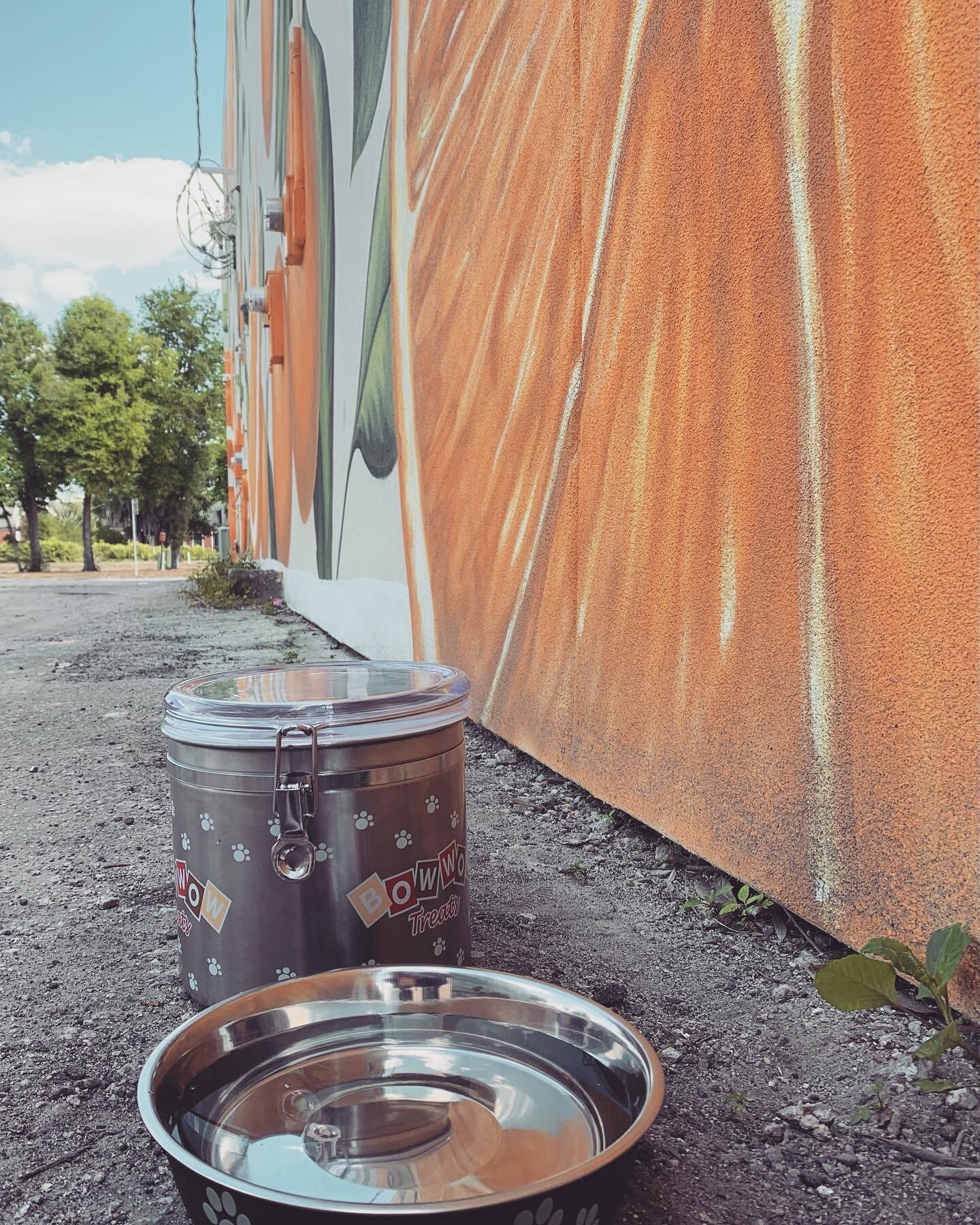 Four legged friends frequent our mural in downtown Lake Wales. For this reason we&rsquo;ve provided a little water and special treats😍 #dogslovedowntown #lakewalesmainstreet