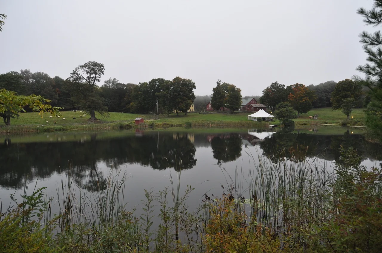 Lake.jpg
