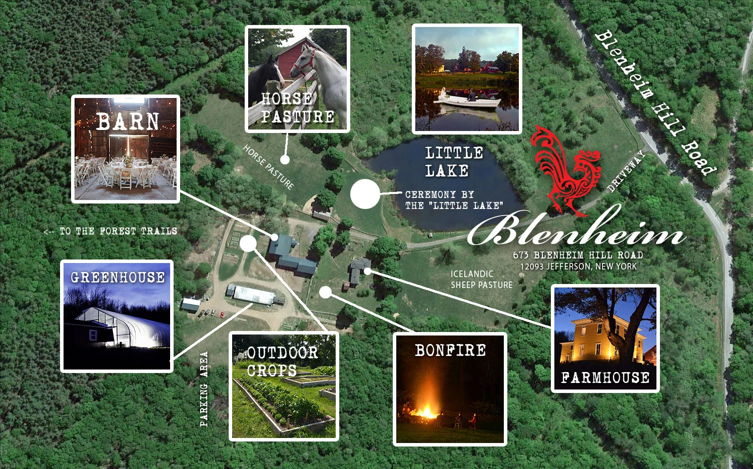 blenheim-property-map.jpg
