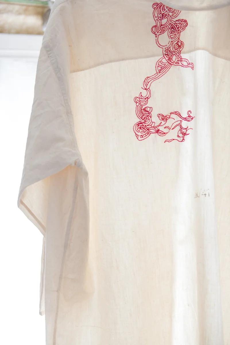 Swan shirt