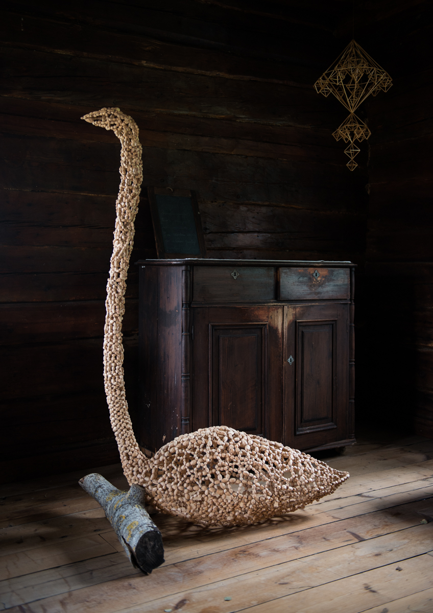 Bird of Rowan