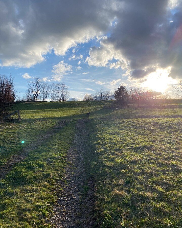 C'mon spring..............

#argosydesigns #argosynorth #argosyproductdivision #springmorning #spring #dogwalk #dog