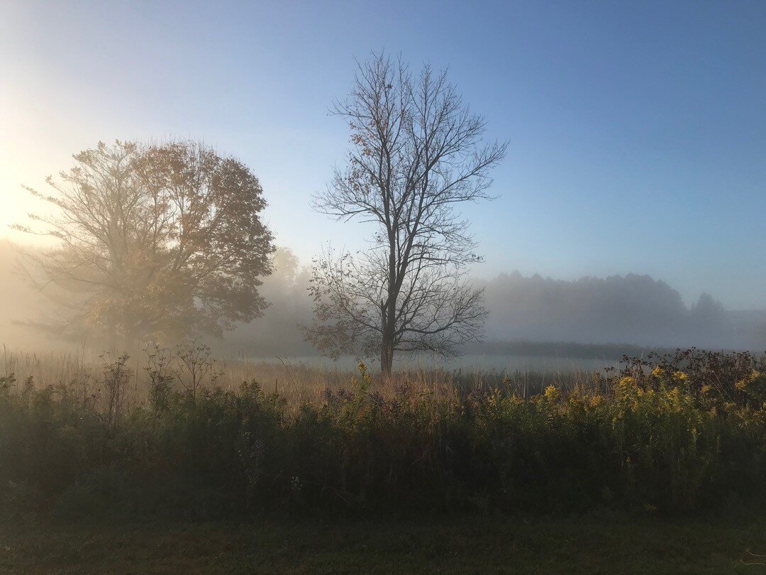 Morning...................

#argosydesigns #argosynorth #argosyproductdivision #mistymorning #sunrise