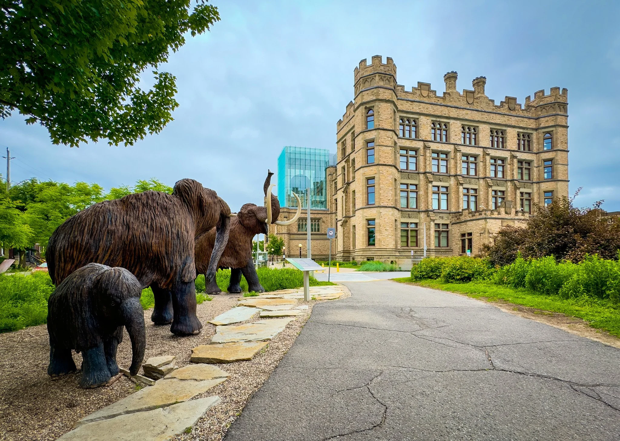 
Canadian Museum of Nature, Ottawa