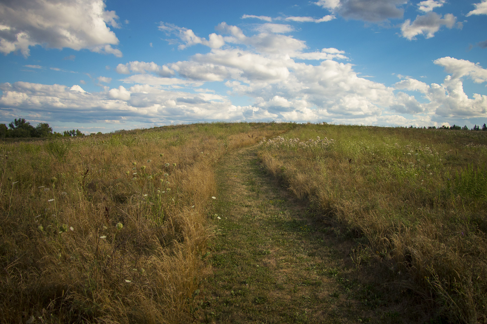 The Greatest Adventure is what Lies Ahead -JRR Tolkien