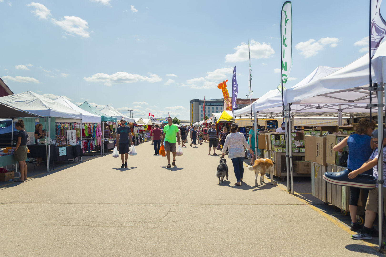 View of the Stalls at the Market