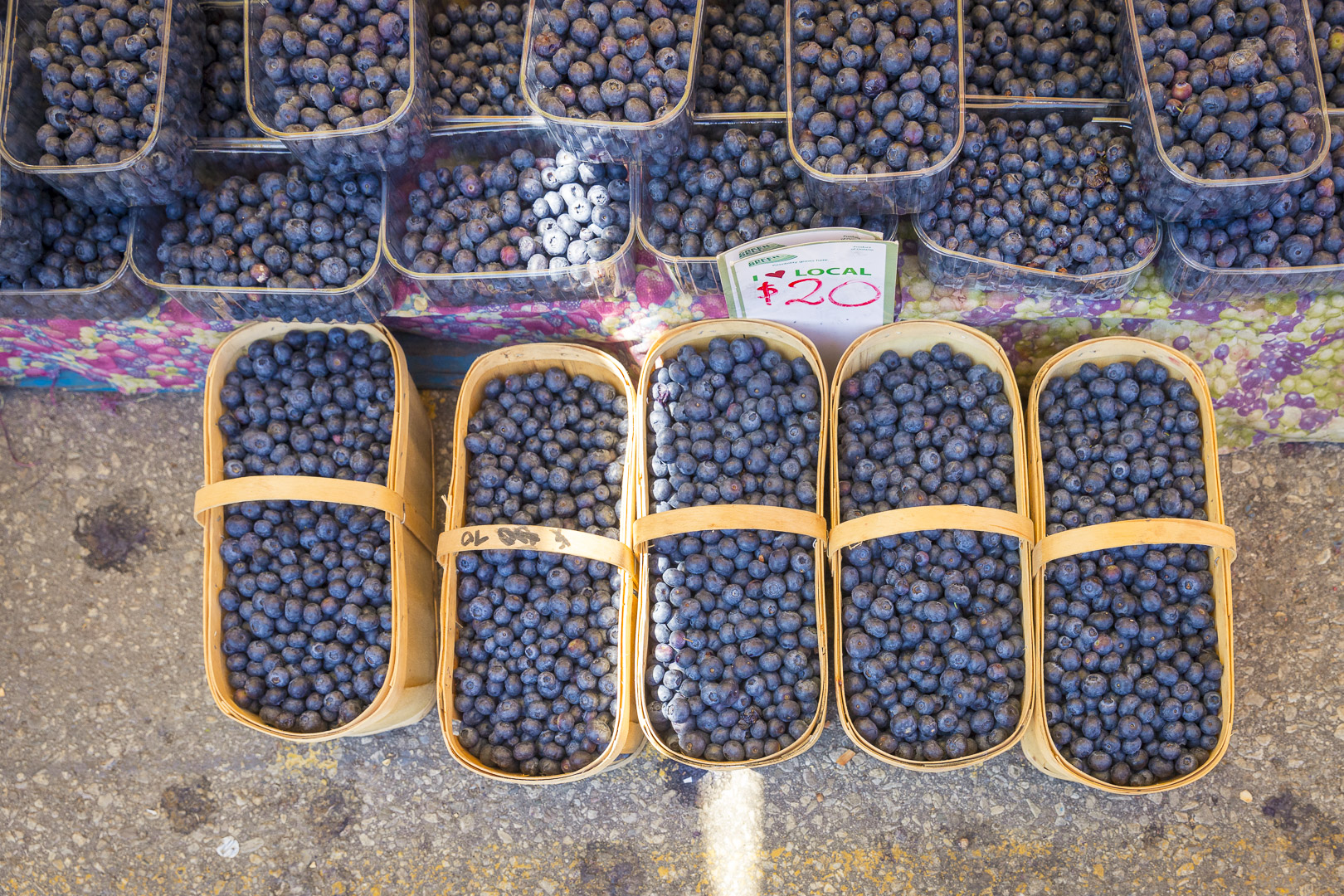 Blueberries