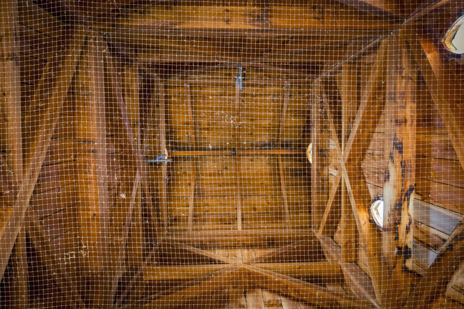 Looking Up the Tower