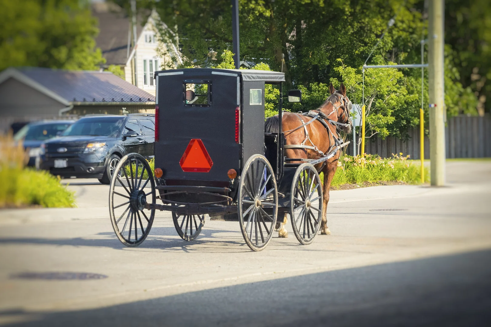 Mennonite Horse & Buggy (Copy)