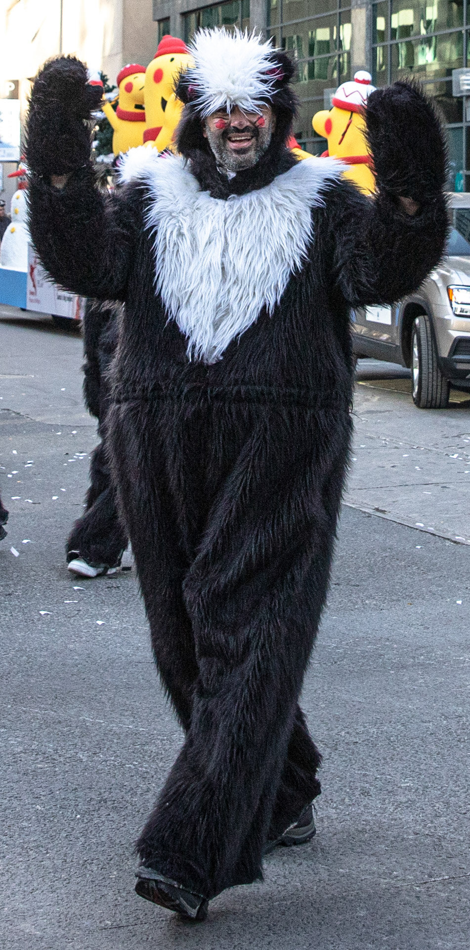 Skunk Waving Hello