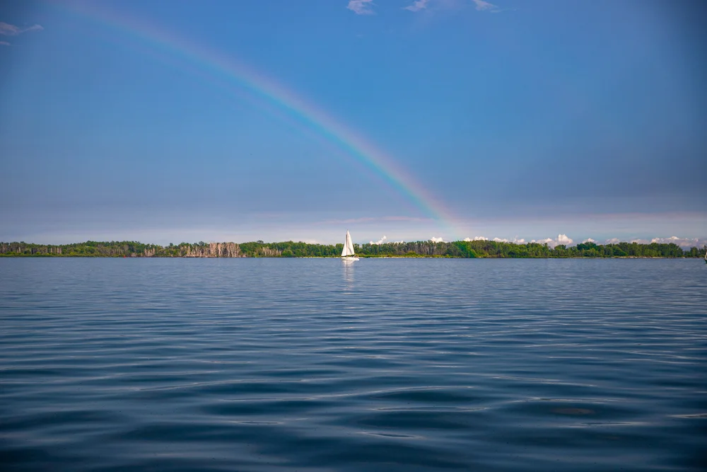 July 17th 2019 (Copy)