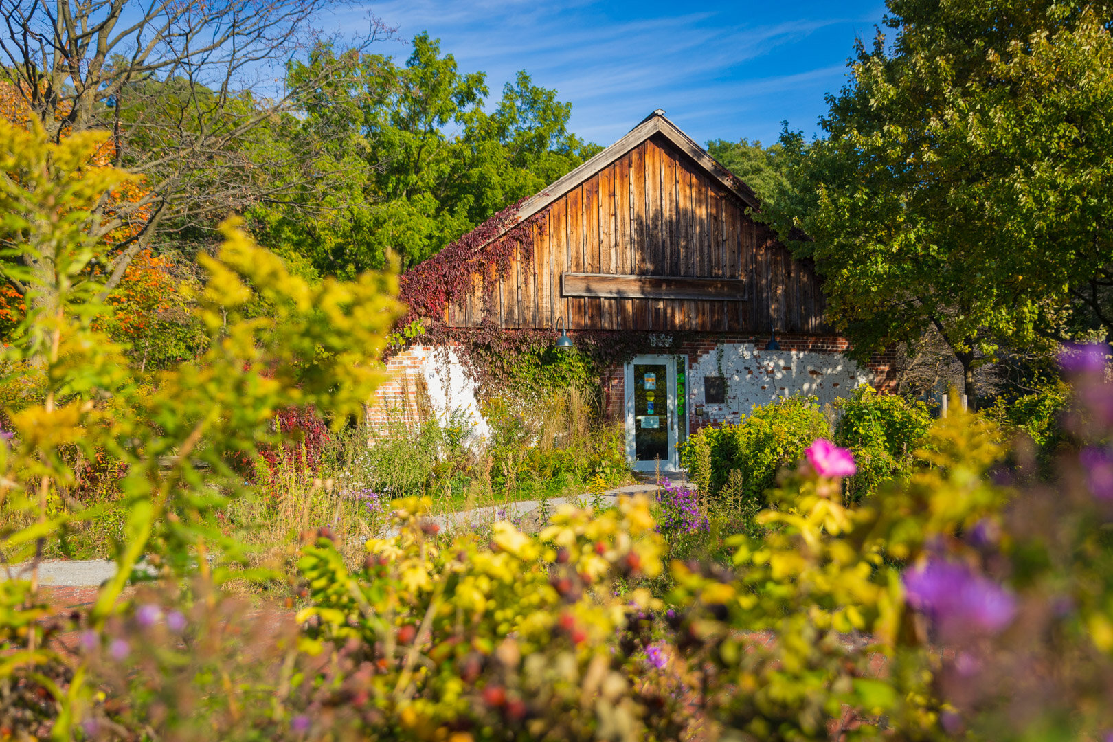 October 18th 2019 - Todmorden Mills Heritage Site