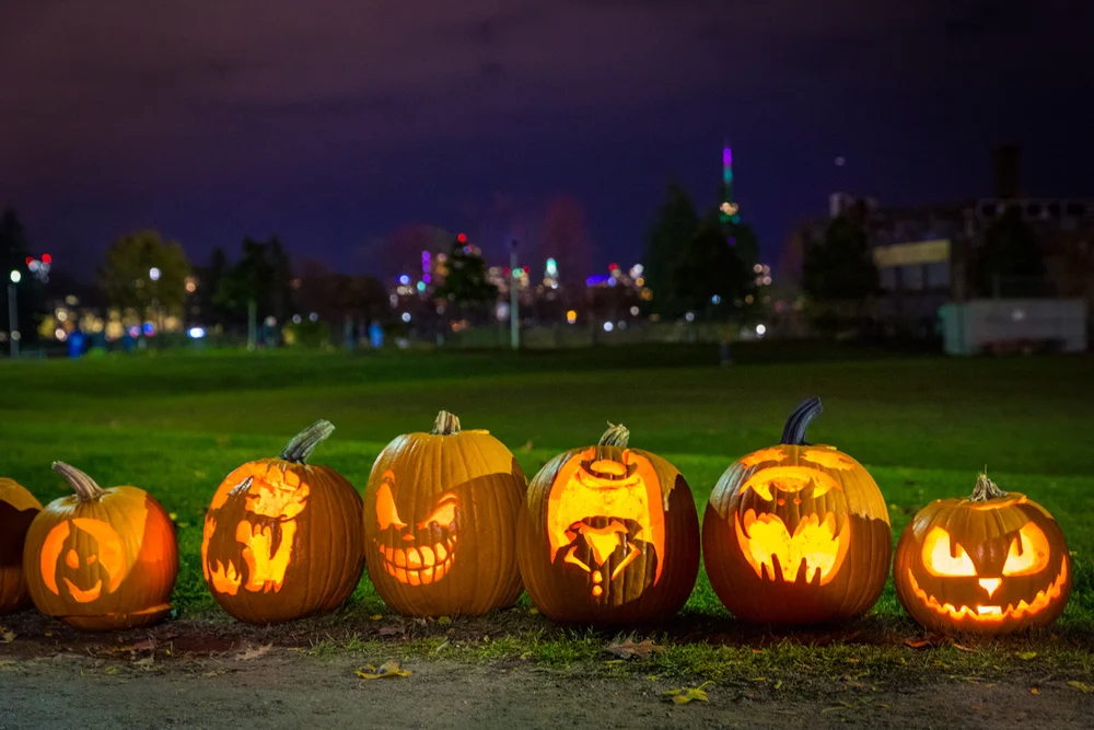 November 1st 2019  (Copy)