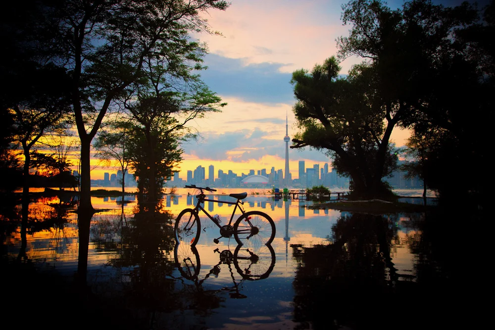 July 17th 2019  (Copy)