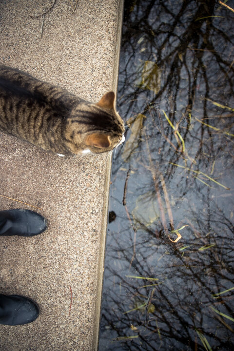  Showing us the best vantage point for a picture.  