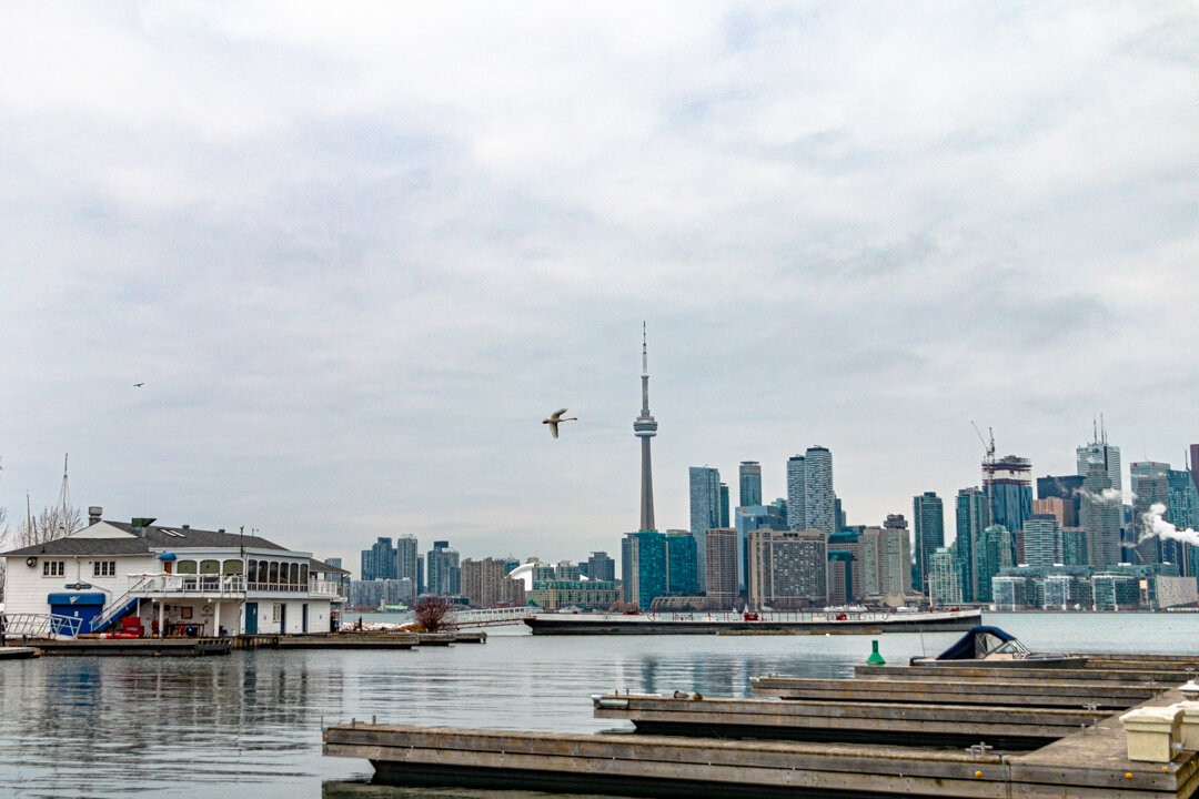  Next, we walk to the mooring area where the boats park during the boating season. The building on the left is the Queen City Yacht Club (QCYC). The bird flying by is a swan.  