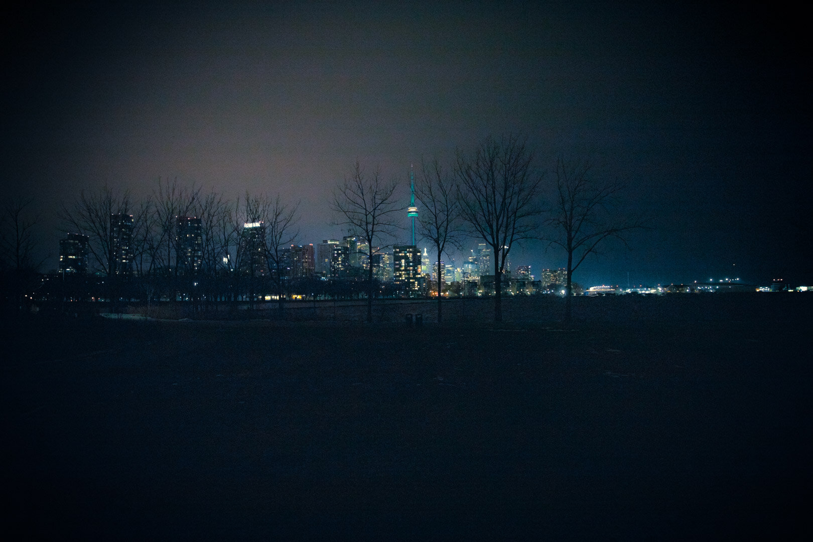  A view of the Toronto skyline from Trillium Park. 
