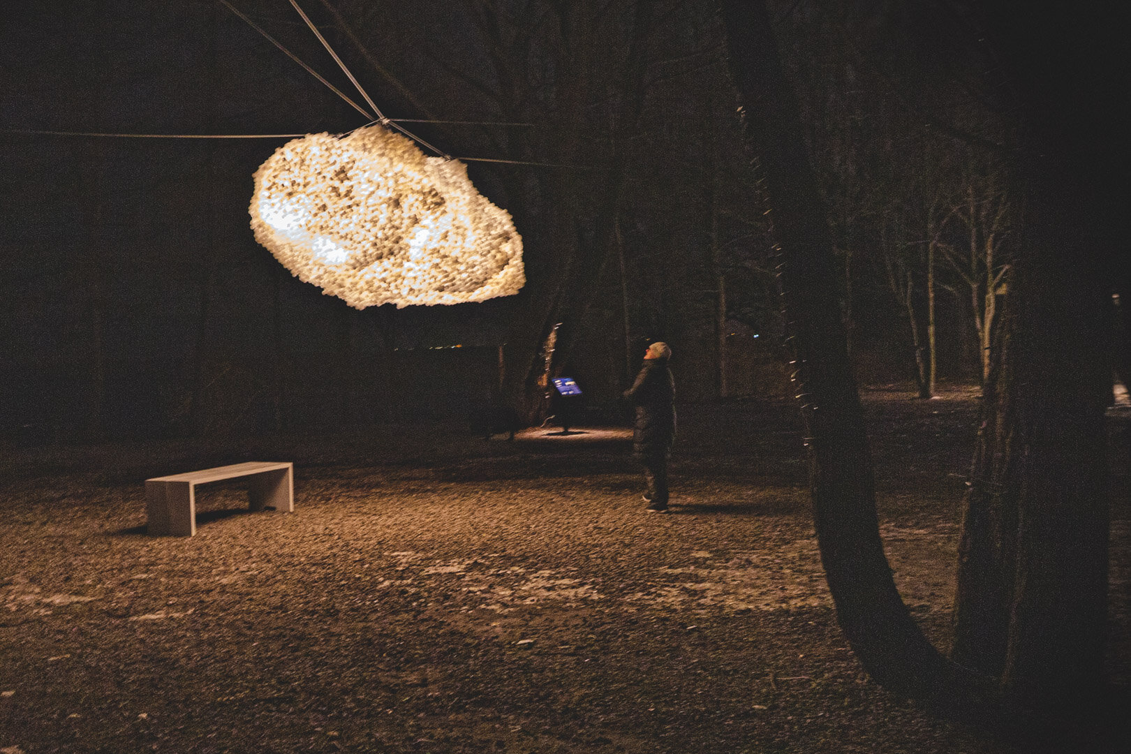  We followed the glow in the trees and came across this cloud with a bench  