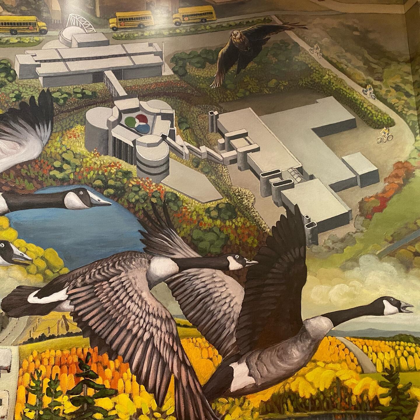 Mural @ the Ontario Science Centre &bull;&bull;&bull;
#ontariosciencecentre #mural #art #sciencecentre #birdseyecview #flemingtonpark #kidpark #agreatcapture @ontariosciencecentre