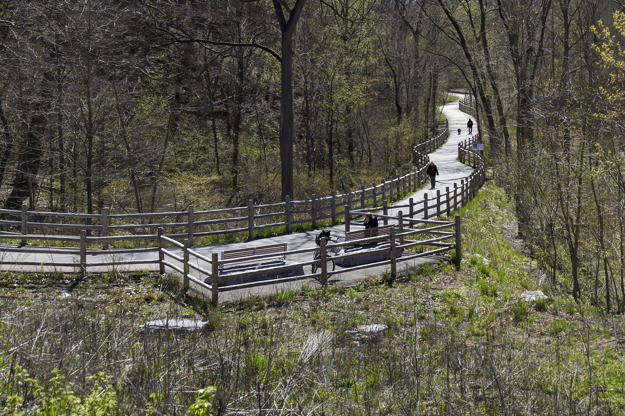 Moore Park Ravine