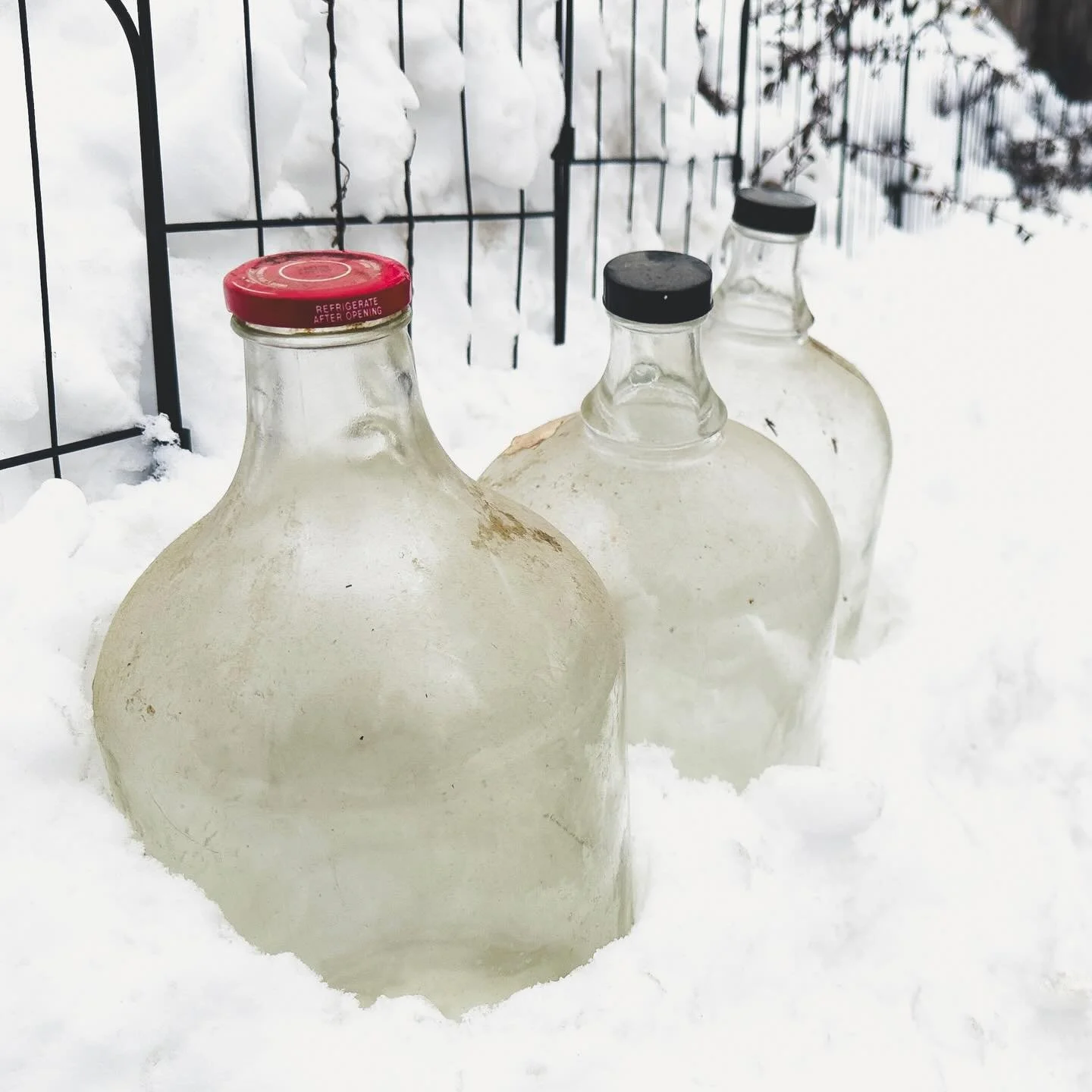 Bottles in the Snow

#toronto #winterintoronto #midtowntoronto #glassbottles #sidewalkerdaily