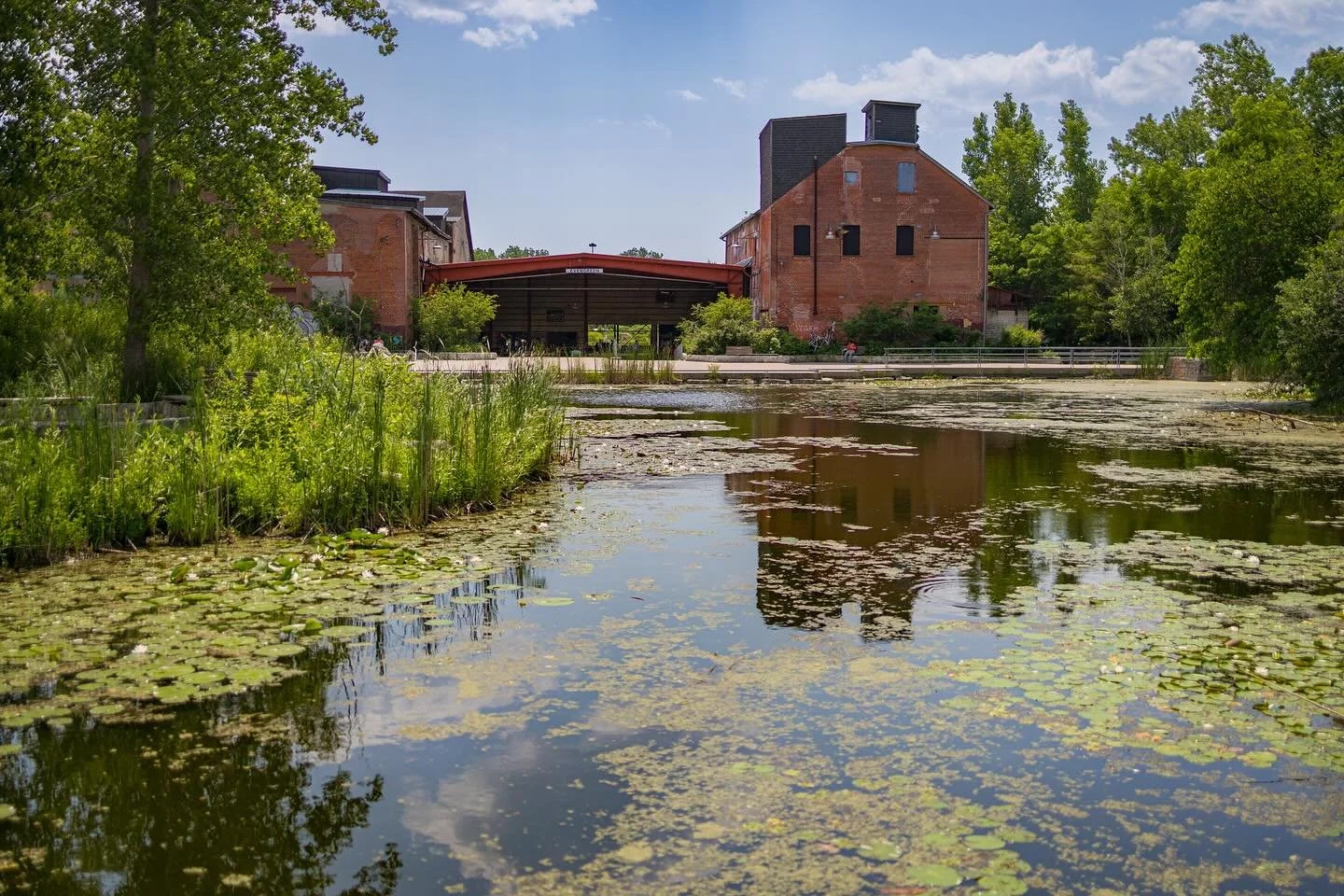 Evergreen Brick Works &bull; #toronto #torontolandmarks #summerintoronto #urbannature #donvalley #agreatcapture