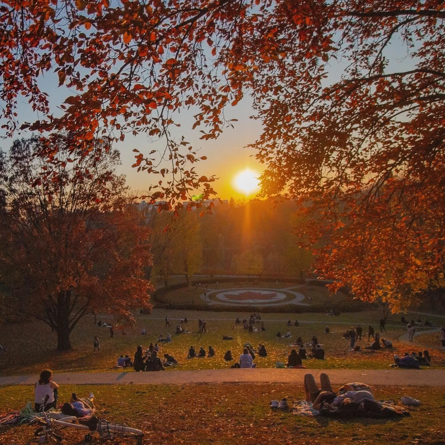 High Park sunsets hit different in the fall. Who else loves this season? 🍁💛
&bull;
&bull;
&bull;
&bull;
&bull;
&bull;
&bull;
&bull;
#HighPark #Toronto #ExploreToronto #TorontoParks #UrbanNature 
#AutumnVibes #FallColours #GoldenHour #AutumnLight #A