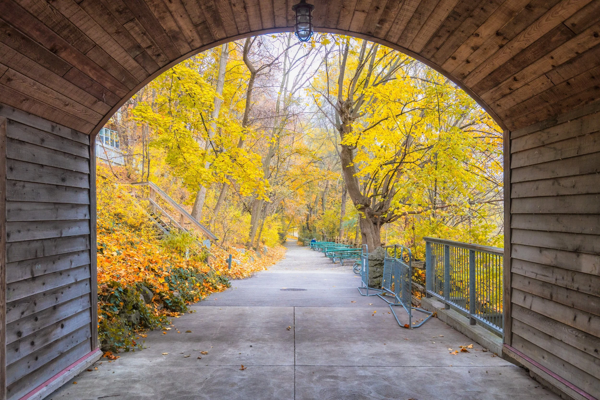 Autumn Path Under the Meeting House