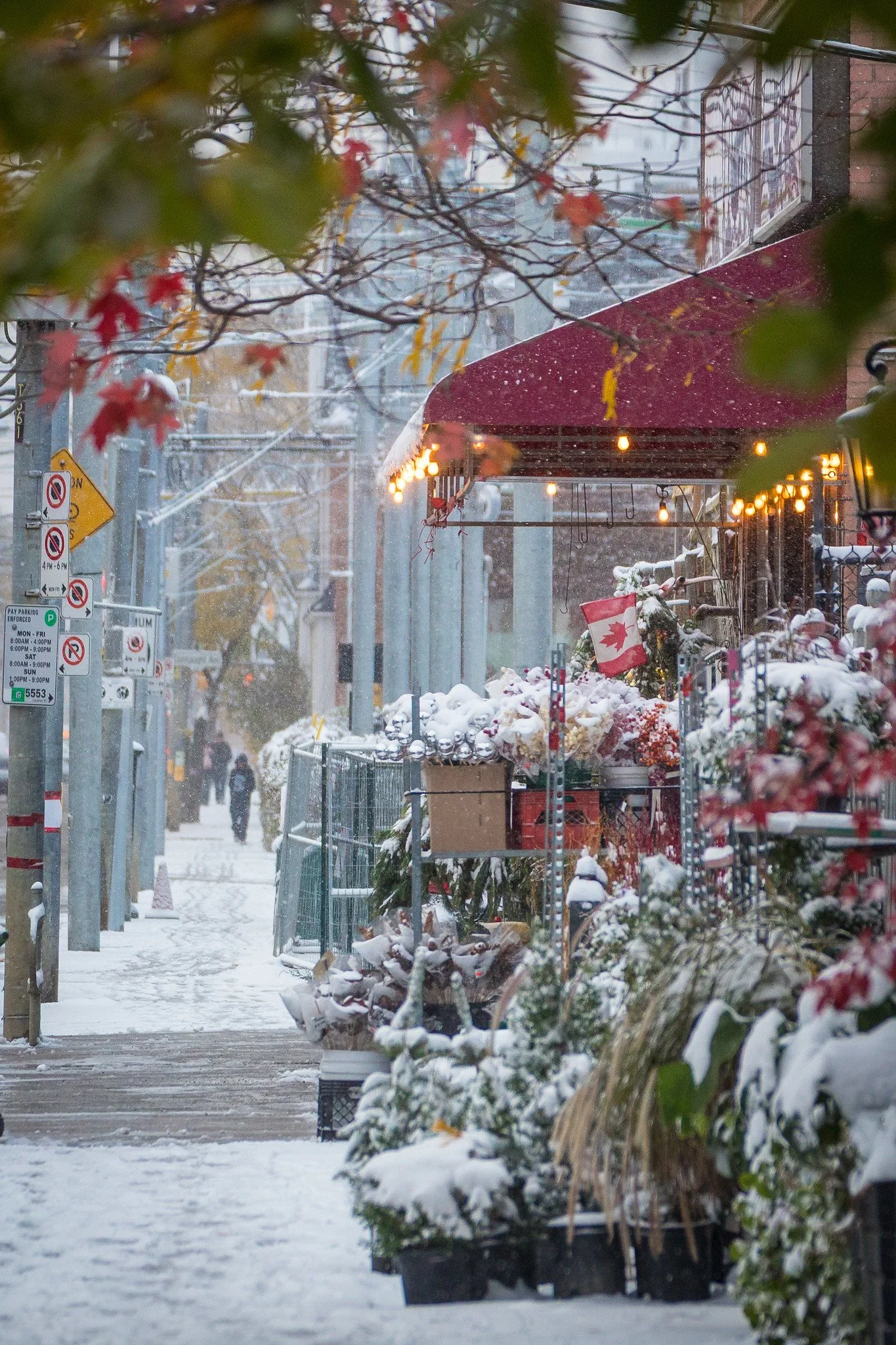 Snow on Queen Street East – East End Garden Centre4564