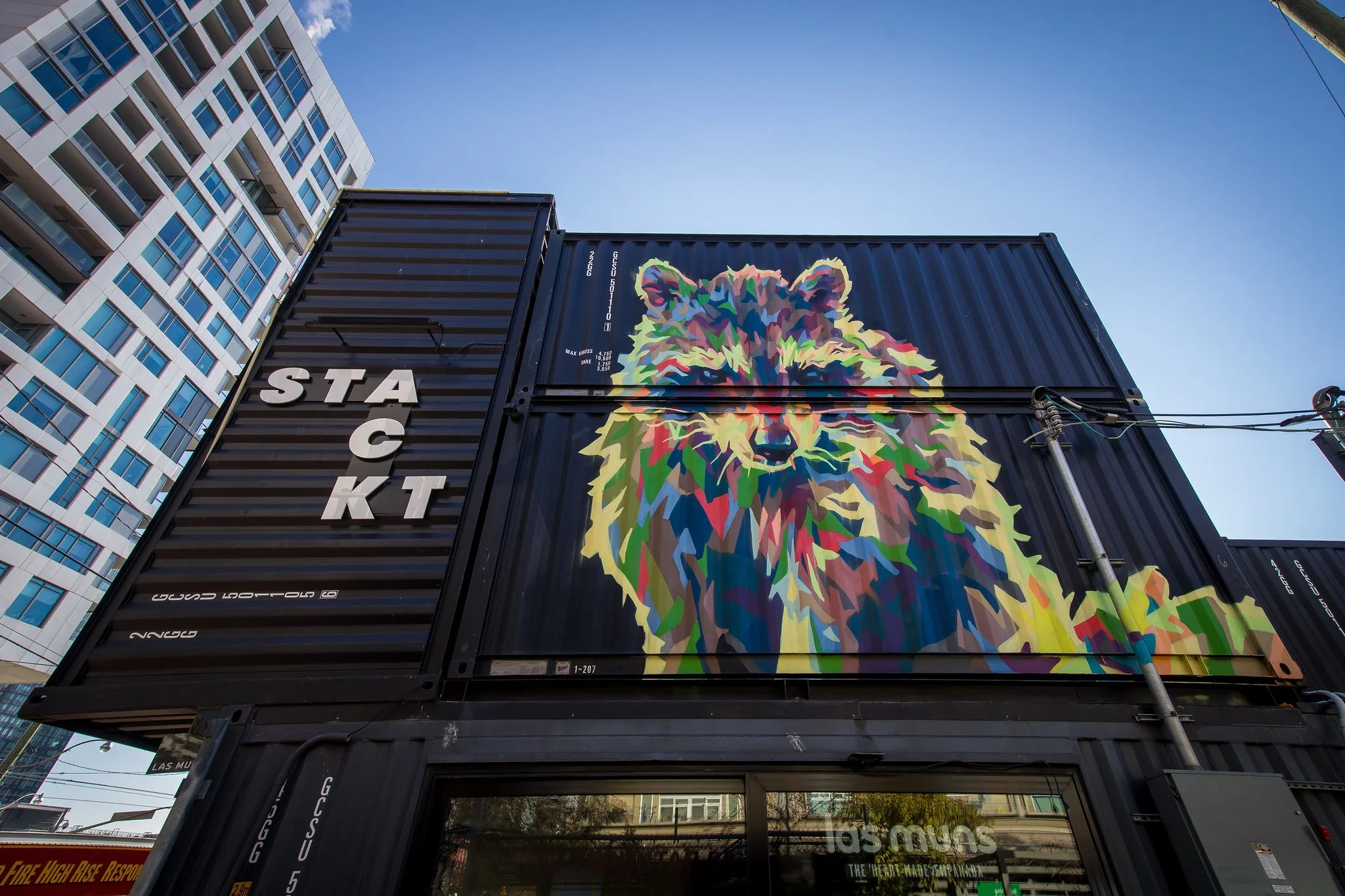 STACKT Market Raccoon — Toronto