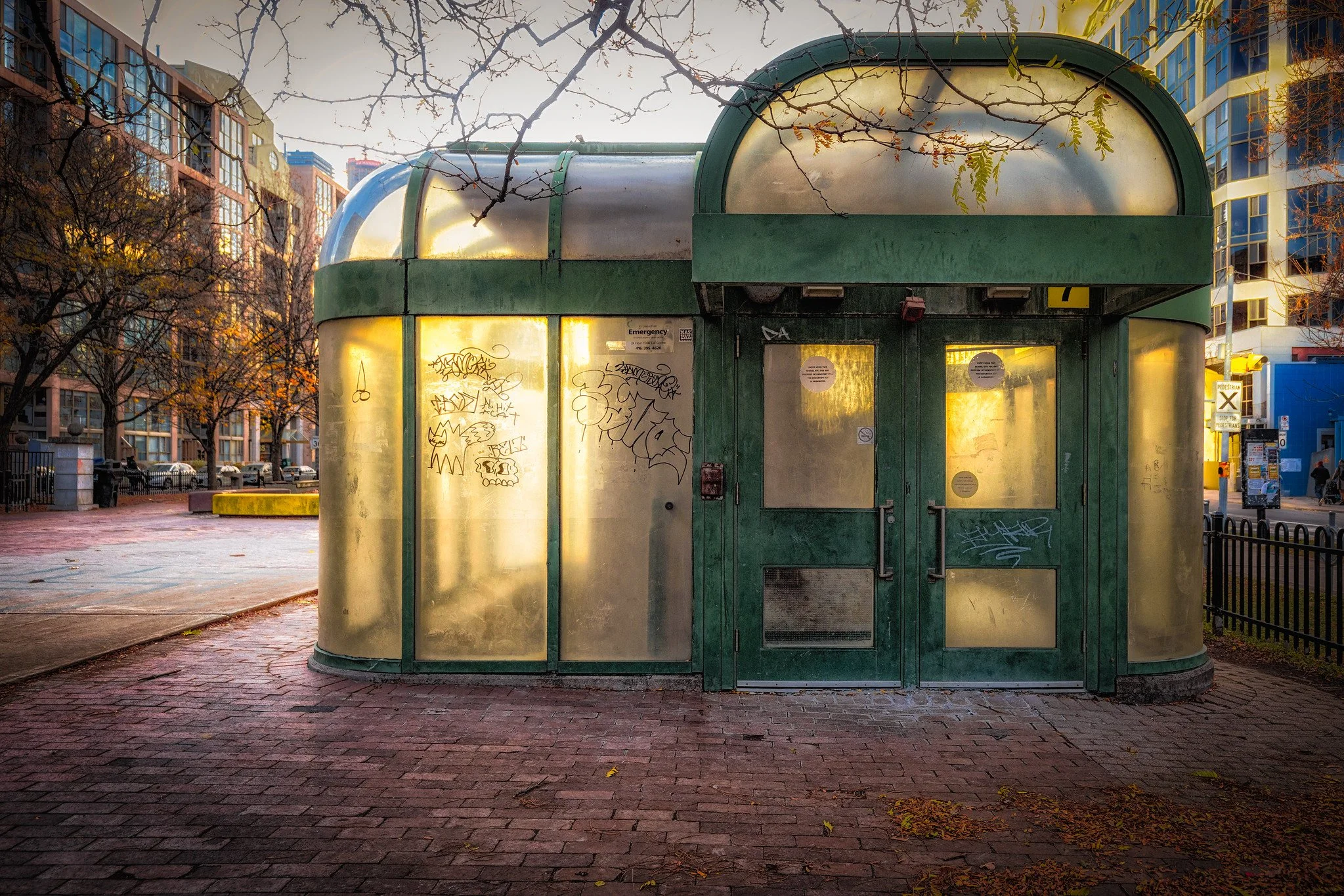 Glass & Light — St. Lawrence Neighbourhood