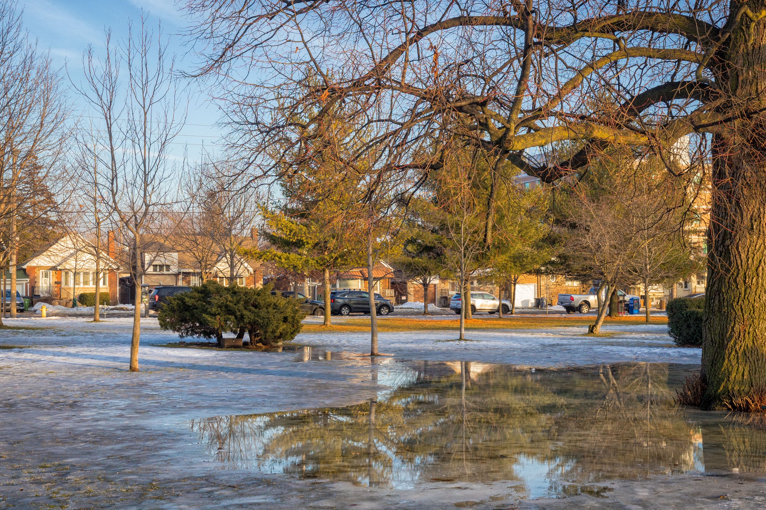 Reflections in front of East York Civic Centre