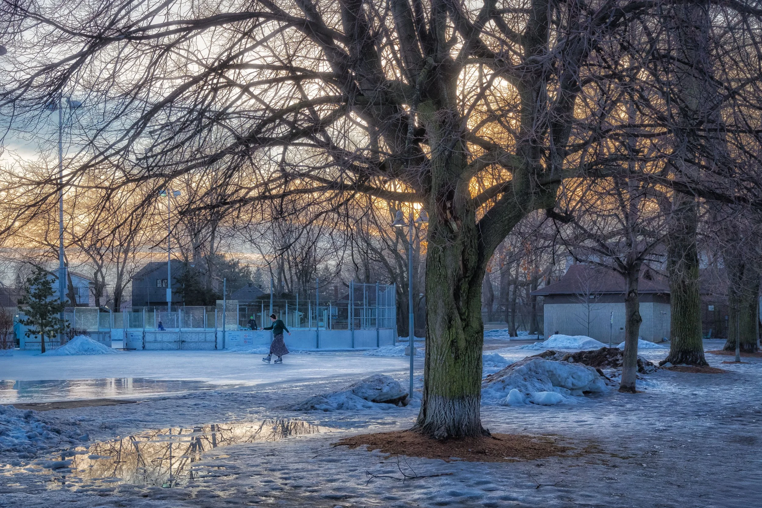 Skaters using the outdoor rink at Dieppe Park surrounded by trees in winter, East York, Toronto, January 8