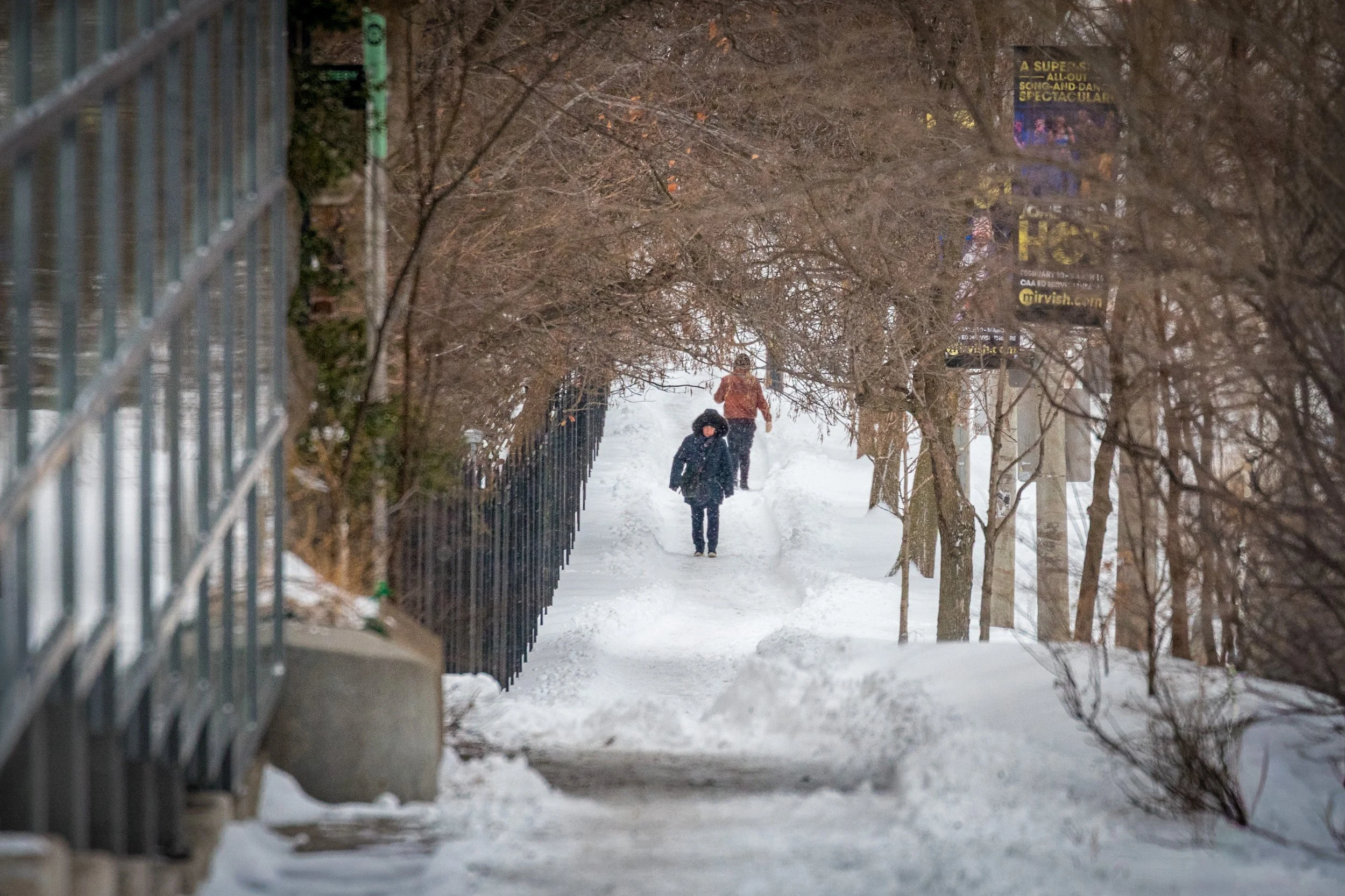 January 15 2025 Snow Storm-23.jpg